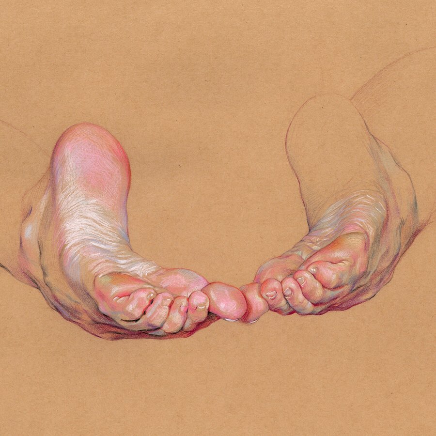 Expressive Anatomical Colored Pencil Drawings By Wanjin Gim 12