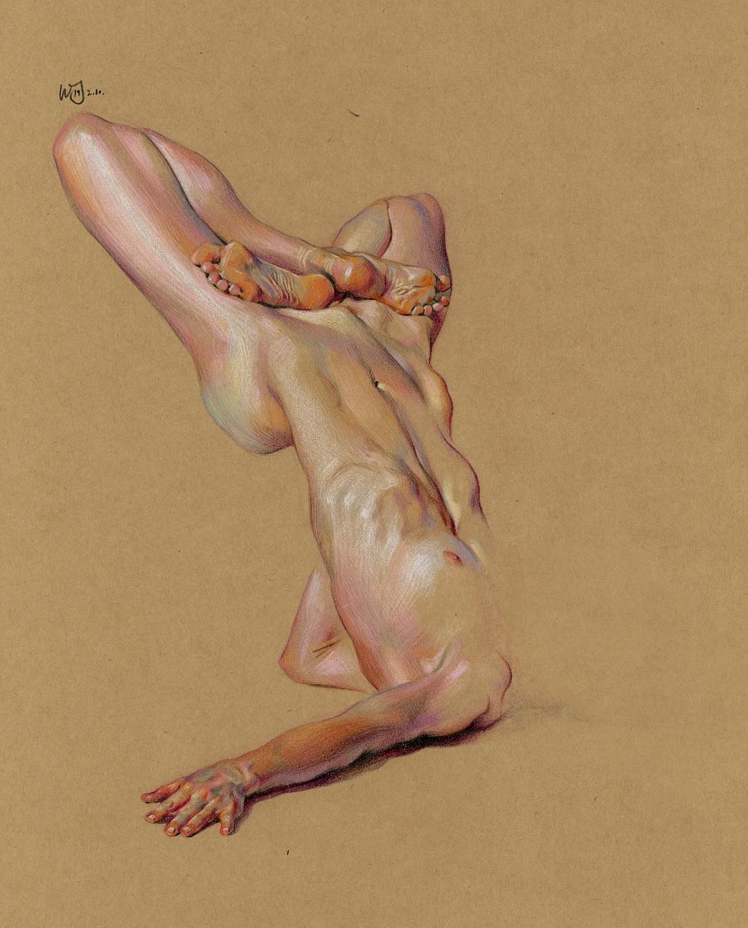 Expressive Anatomical Colored Pencil Drawings By Wanjin Gim 15