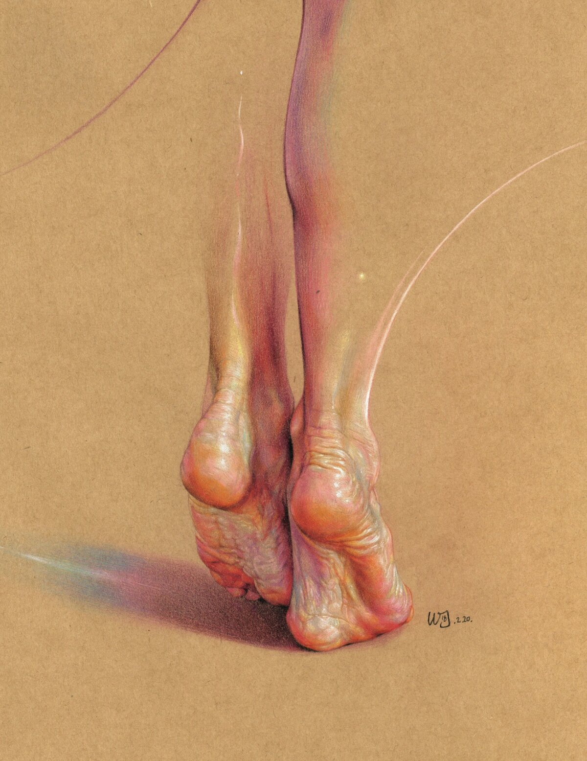 Expressive Anatomical Colored Pencil Drawings By Wanjin Gim 2