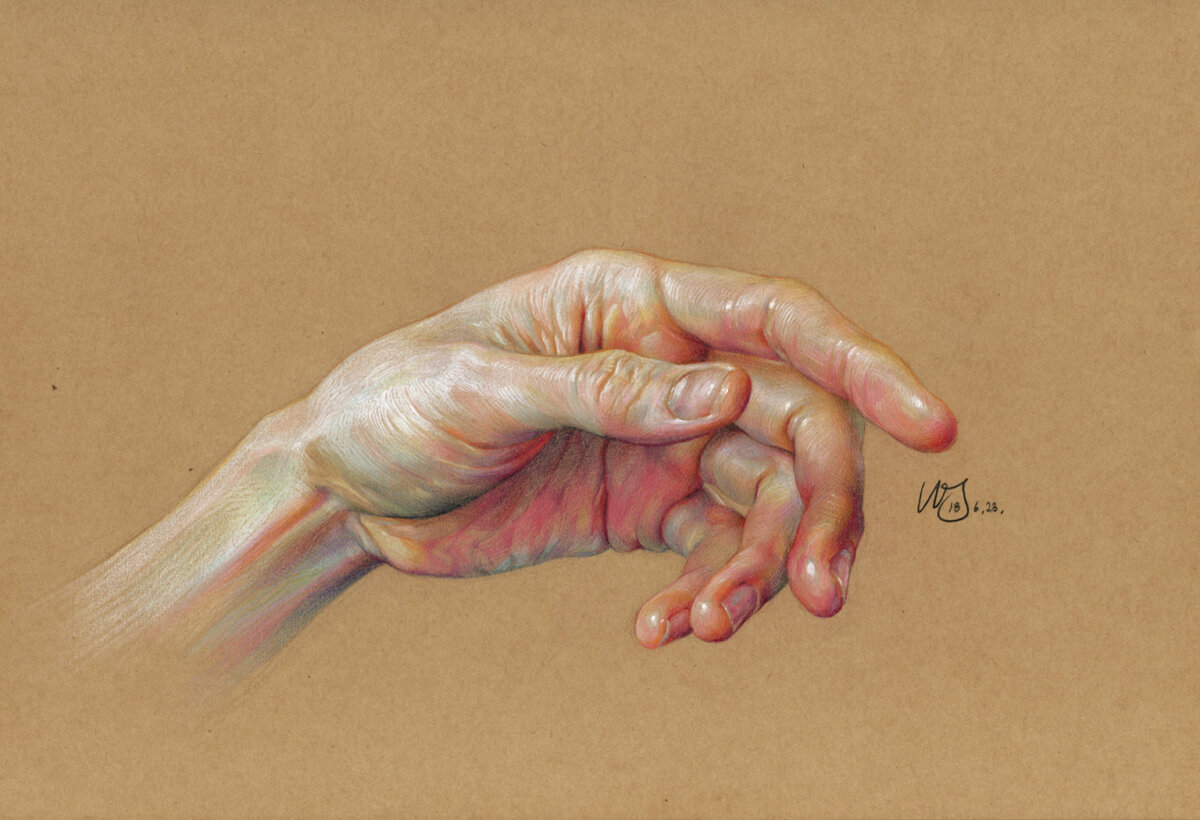 Expressive Anatomical Colored Pencil Drawings By Wanjin Gim 8
