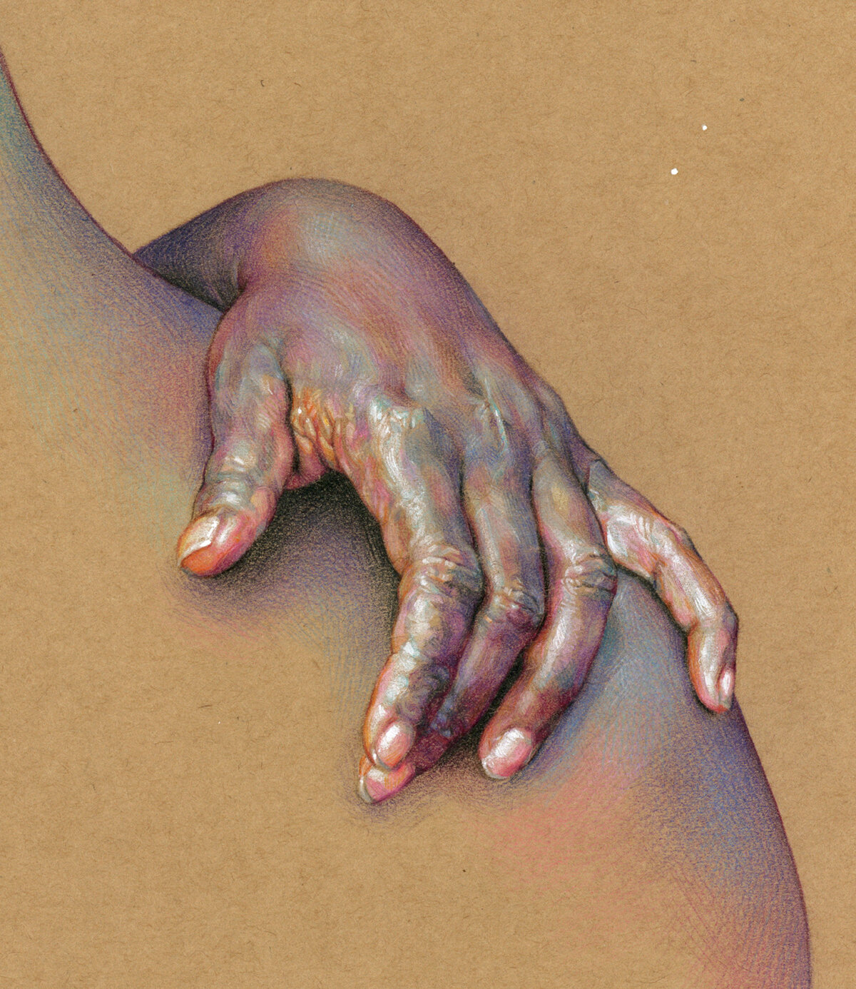 Expressive Anatomical Colored Pencil Drawings By Wanjin Gim 9