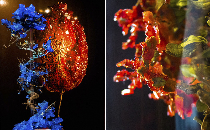 Flowers And Crystals Lush Botanical Sculptures By Alyson Mowat 2