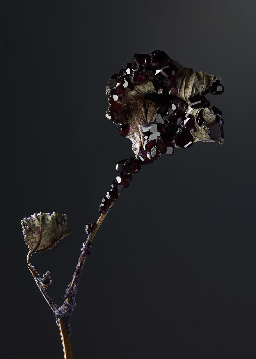 Flowers And Crystals Lush Botanical Sculptures By Alyson Mowat 7