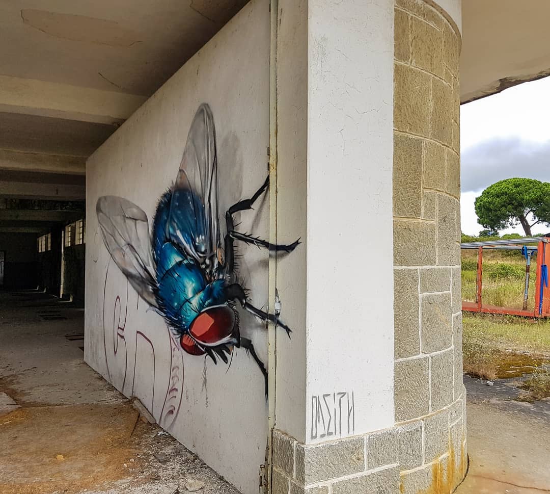 Impressive Large Scale Murals Of Giant Insects By Sergio Odeith 3