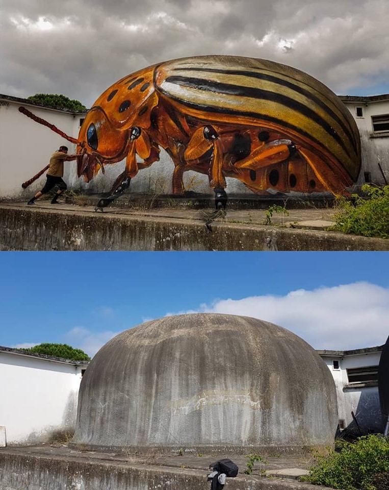 Impressive Large Scale Murals Of Giant Insects By Sergio Odeith 6