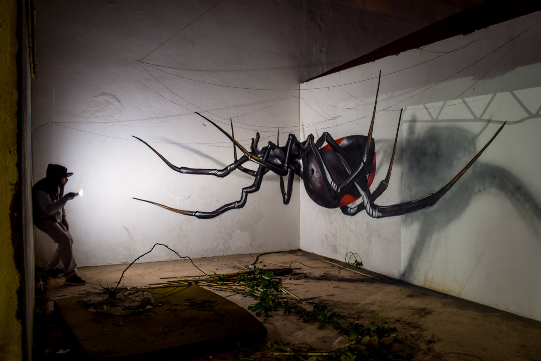 Impressive Large Scale Murals Of Giant Insects By Sergio Odeith 9