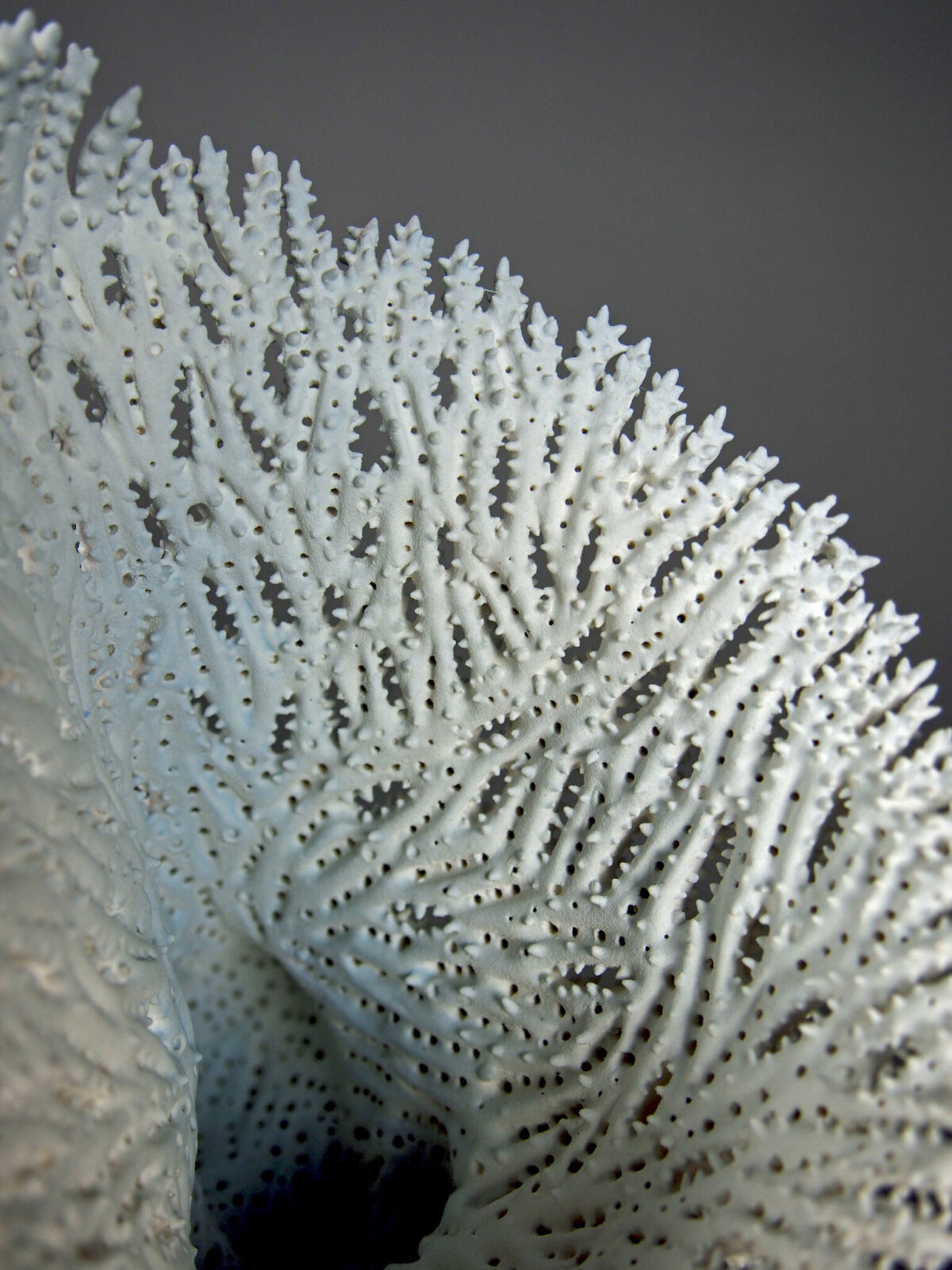Marine Abstracts Coral Like Ceramic Sculptures By Marguerita Hagan 2