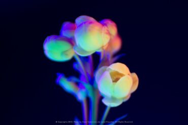 slava-semeniuta-neon-lit-urban-night-photography