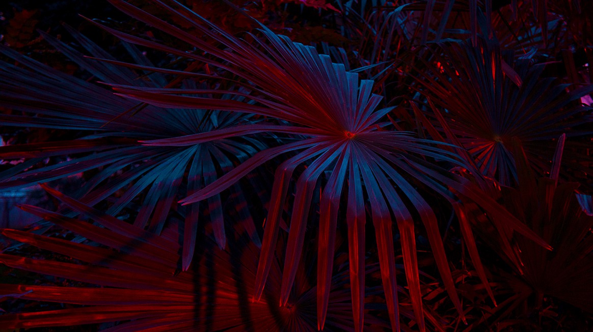 The Exuberant Neon Light Photography Of Slava Semeniuta 5