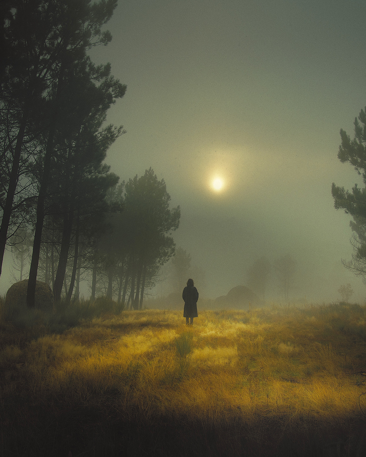The Velvet Kingdom Wonderful Misty And Foggy Landscape Photography Series By Henri Prestes 1