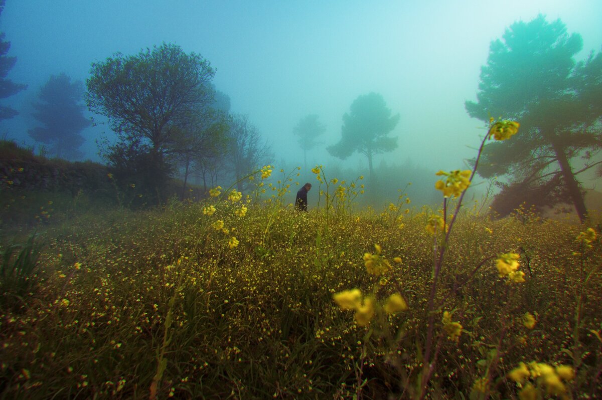 The Velvet Kingdom Wonderful Misty And Foggy Landscape Photography Series By Henri Prestes 3