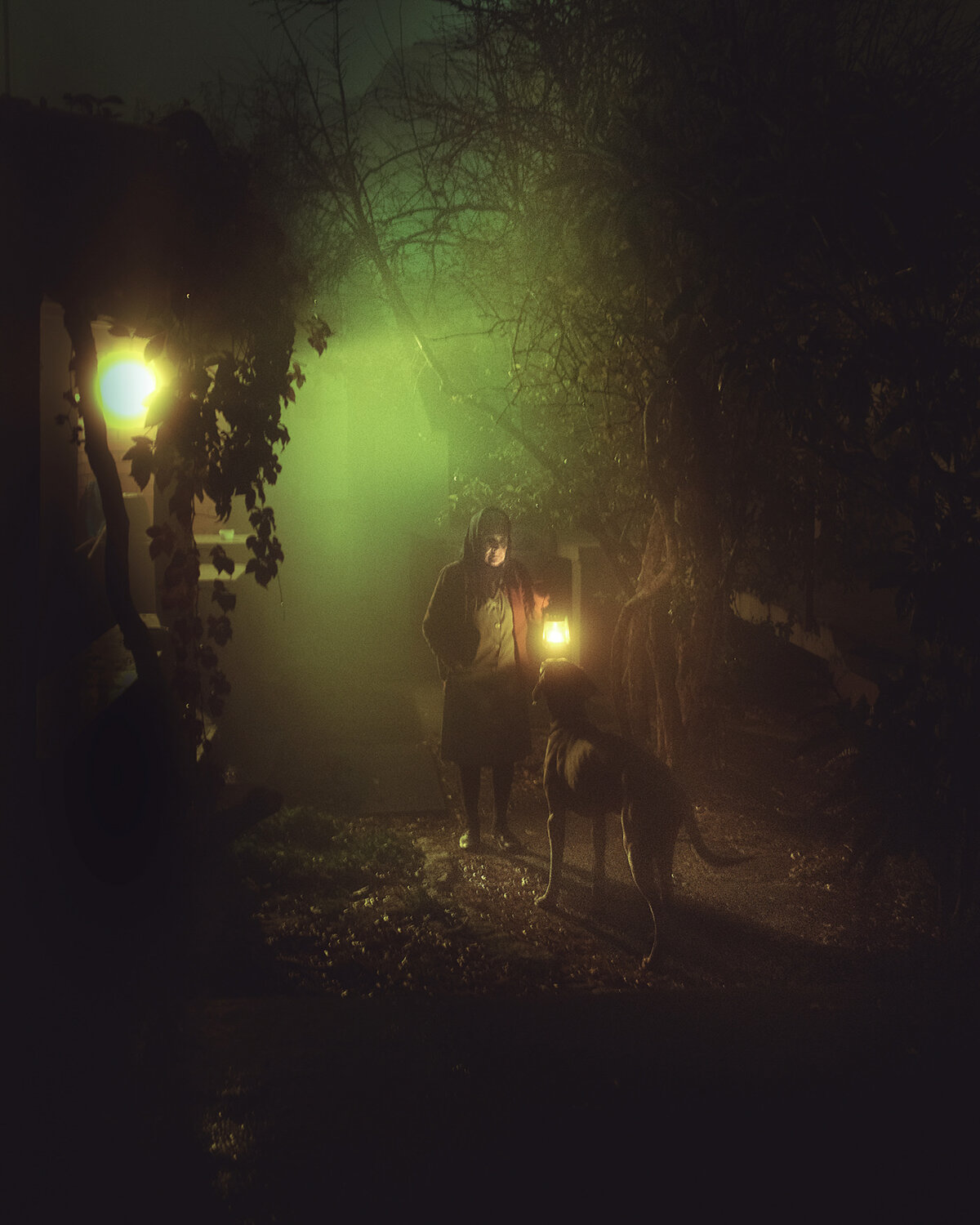 The Velvet Kingdom Wonderful Misty And Foggy Landscape Photography Series By Henri Prestes 8