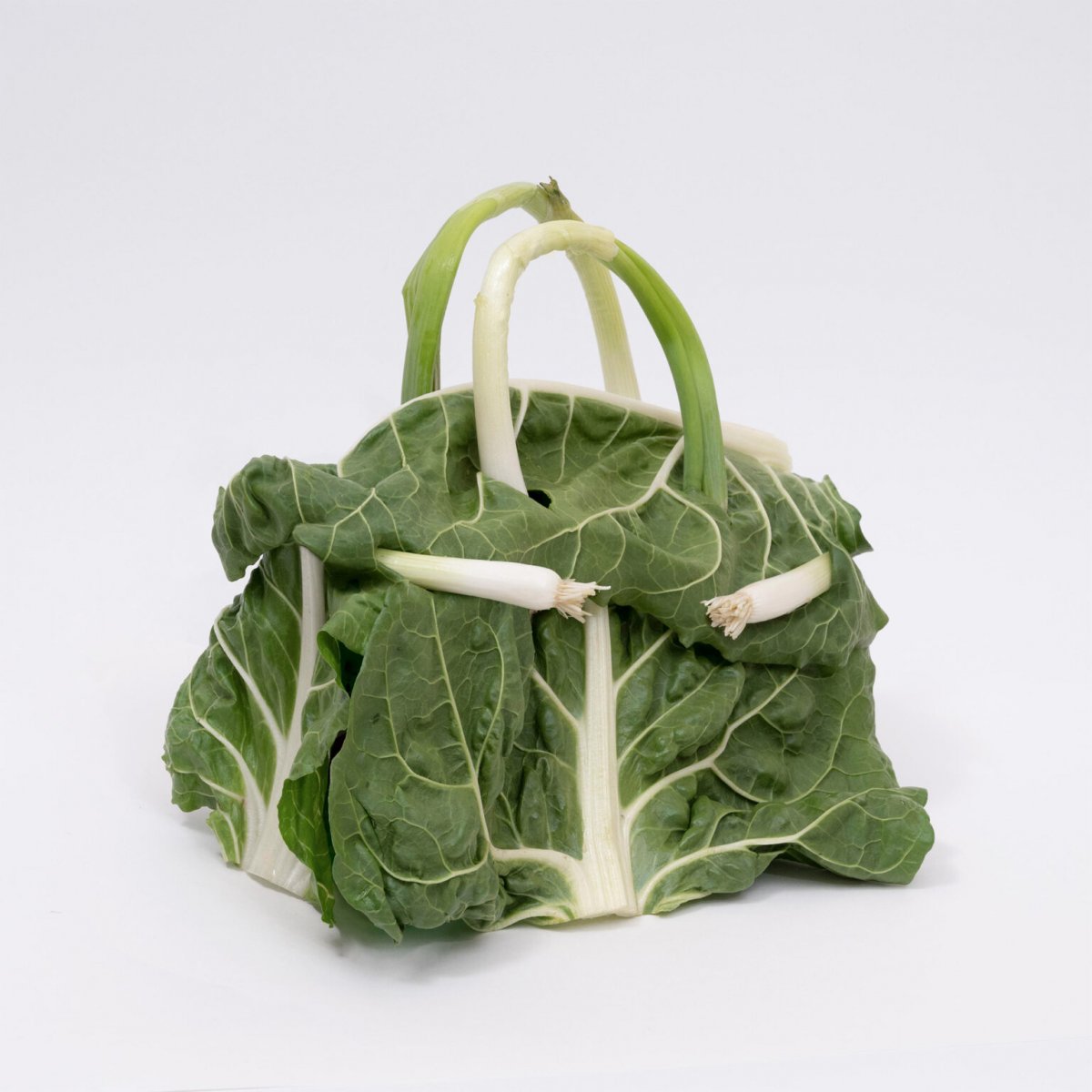 Birkin Bags In Vegetable Versions By Ben Denzer 1