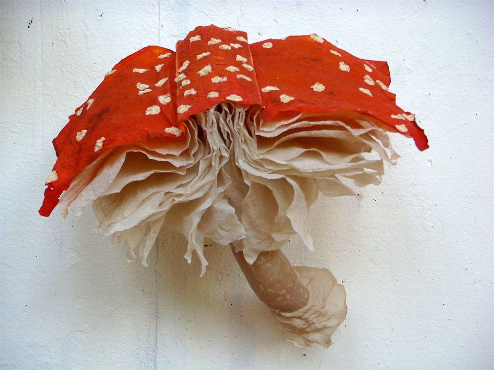 Enchanting Mushroom Book Installations By Melissa Jay Craig 5