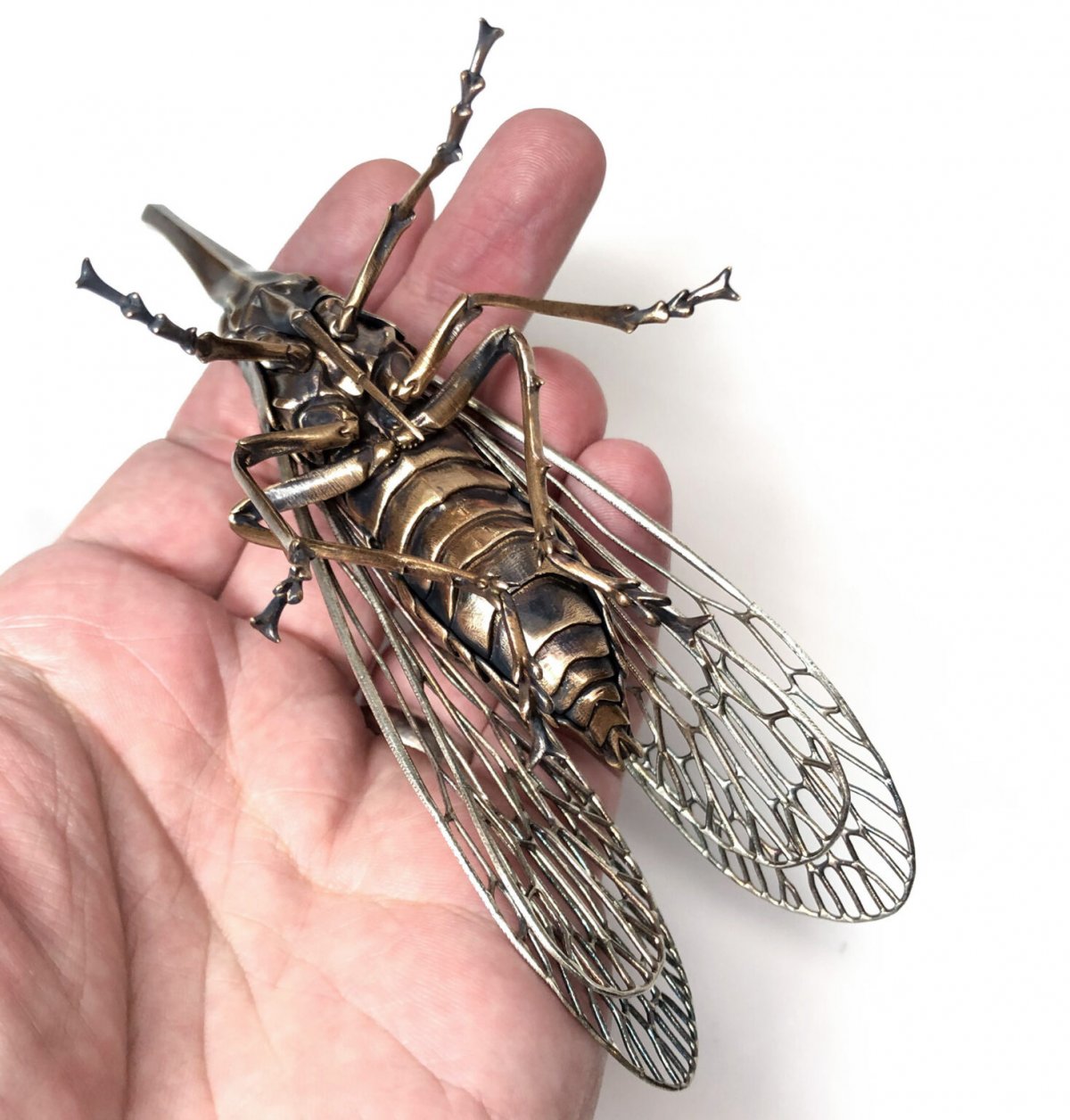 Stunning Insect Metal Sculptures By Dr Allan Drummond 2