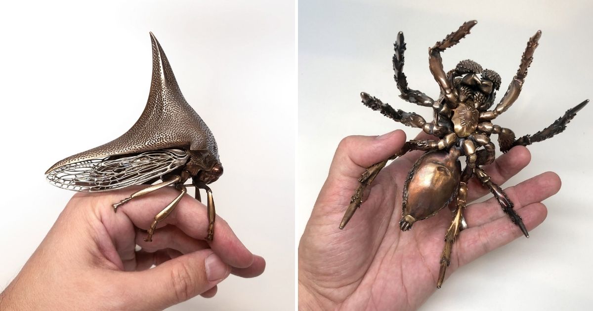 Stunning Insect Metal Sculptures By Dr. Allan Drummond Sharecover