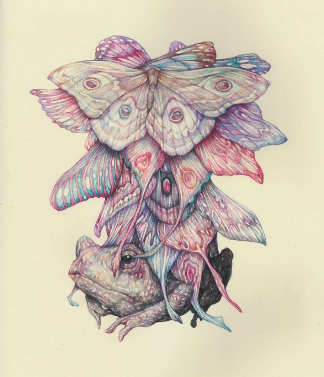 Surrealistic And Allegorical Fauna And Flora Colored Pencil Drawings By Marco Mazzoni 1