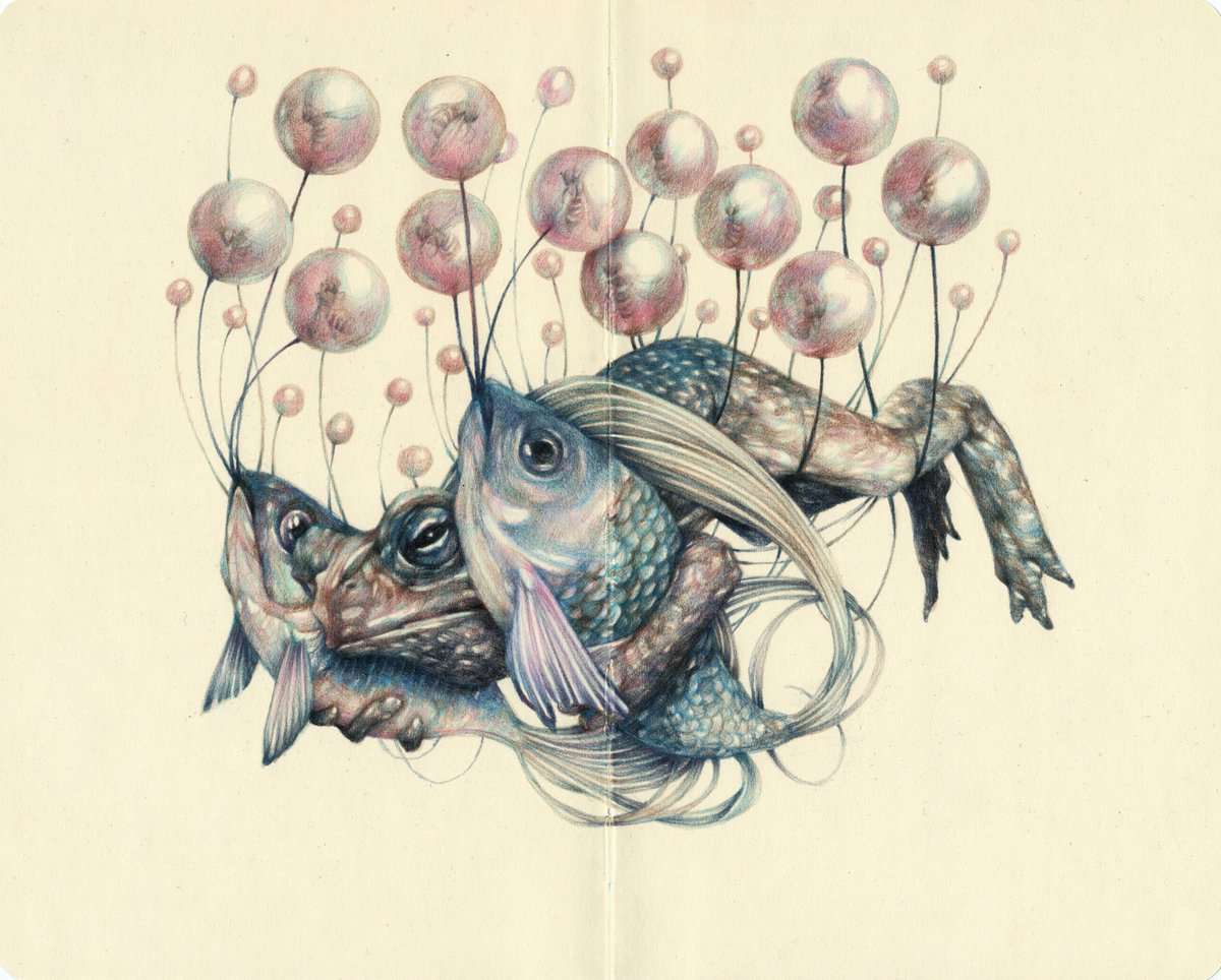 Surrealistic And Allegorical Fauna And Flora Colored Pencil Drawings By Marco Mazzoni 3