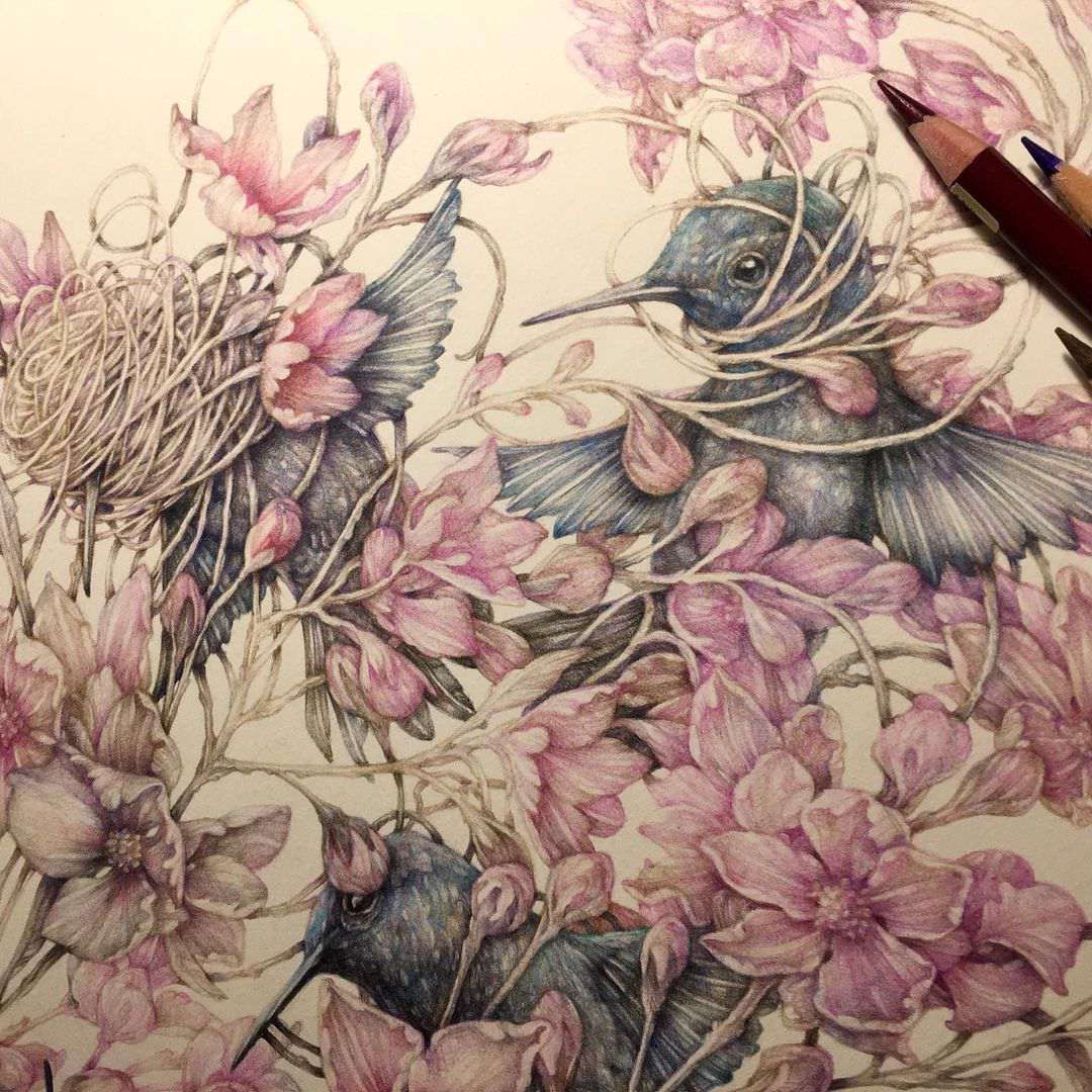 Surrealistic And Allegorical Fauna And Flora Colored Pencil Drawings By Marco Mazzoni 8