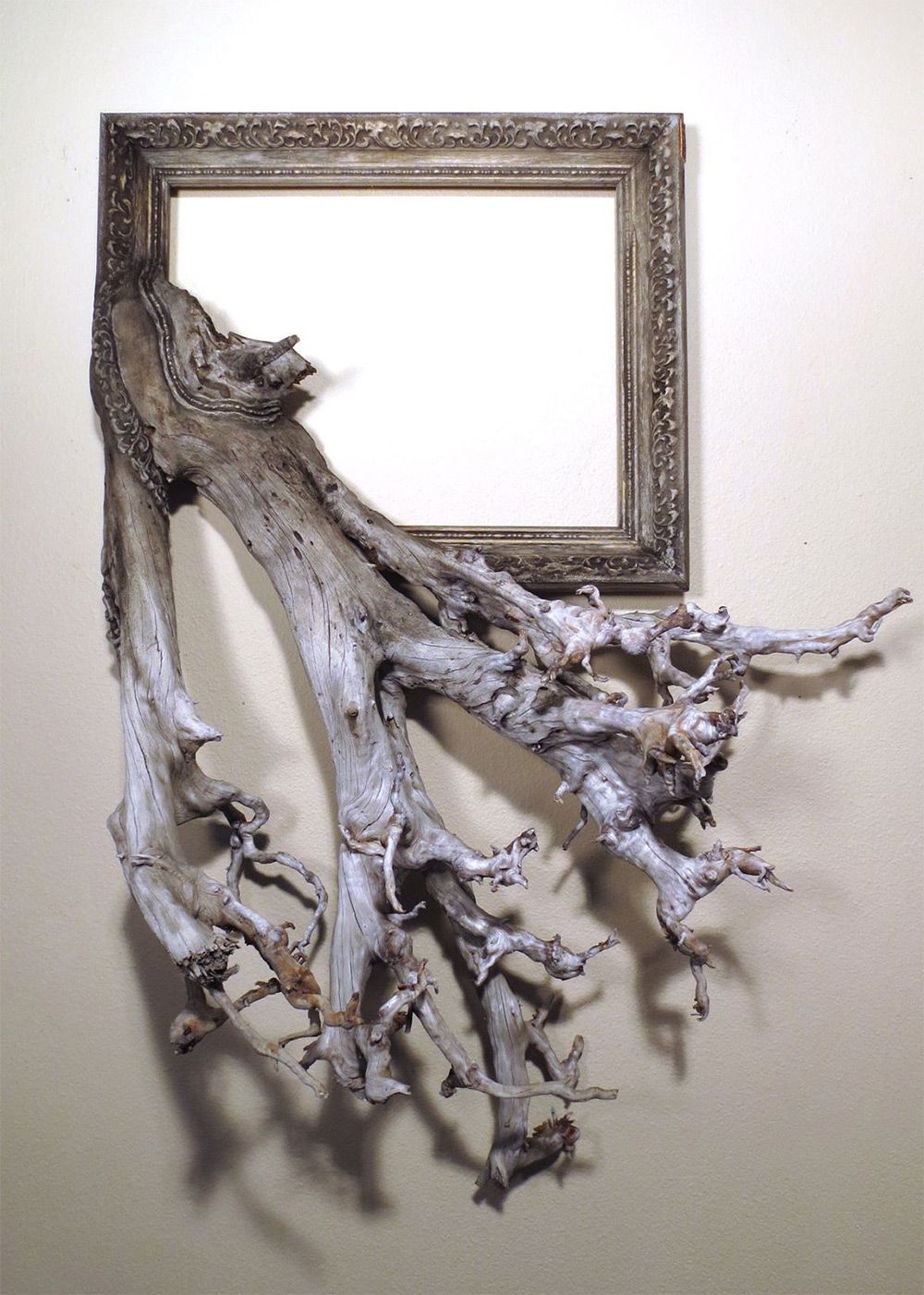 Tree Roots And Branches Fused With Ornate Picture Frames By Darryl Cox 10