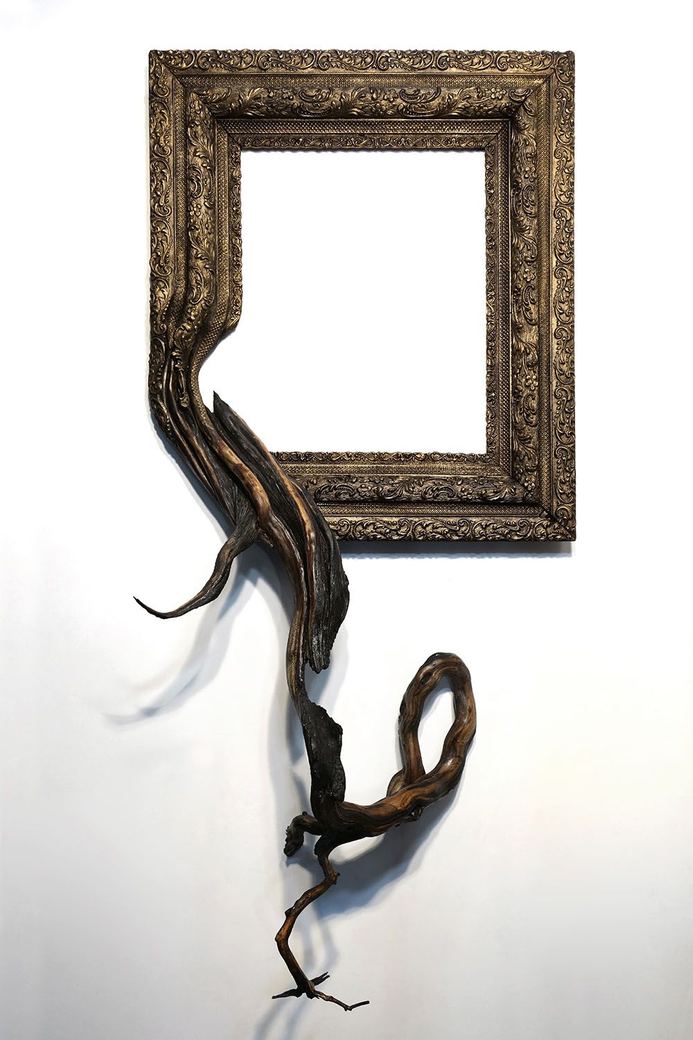 Tree Roots And Branches Fused With Ornate Picture Frames By Darryl Cox 12