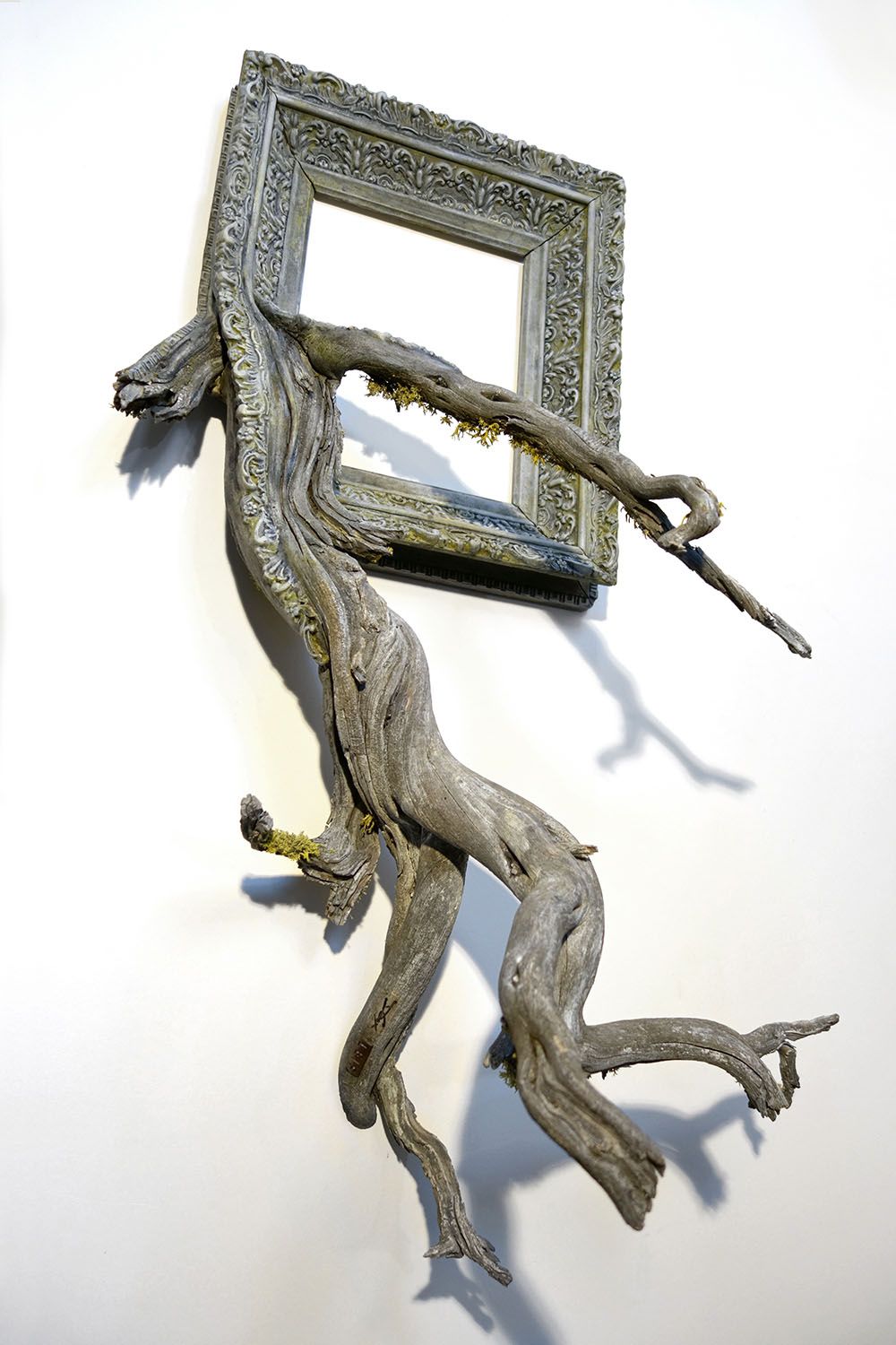 Tree Roots And Branches Fused With Ornate Picture Frames By Darryl Cox 14