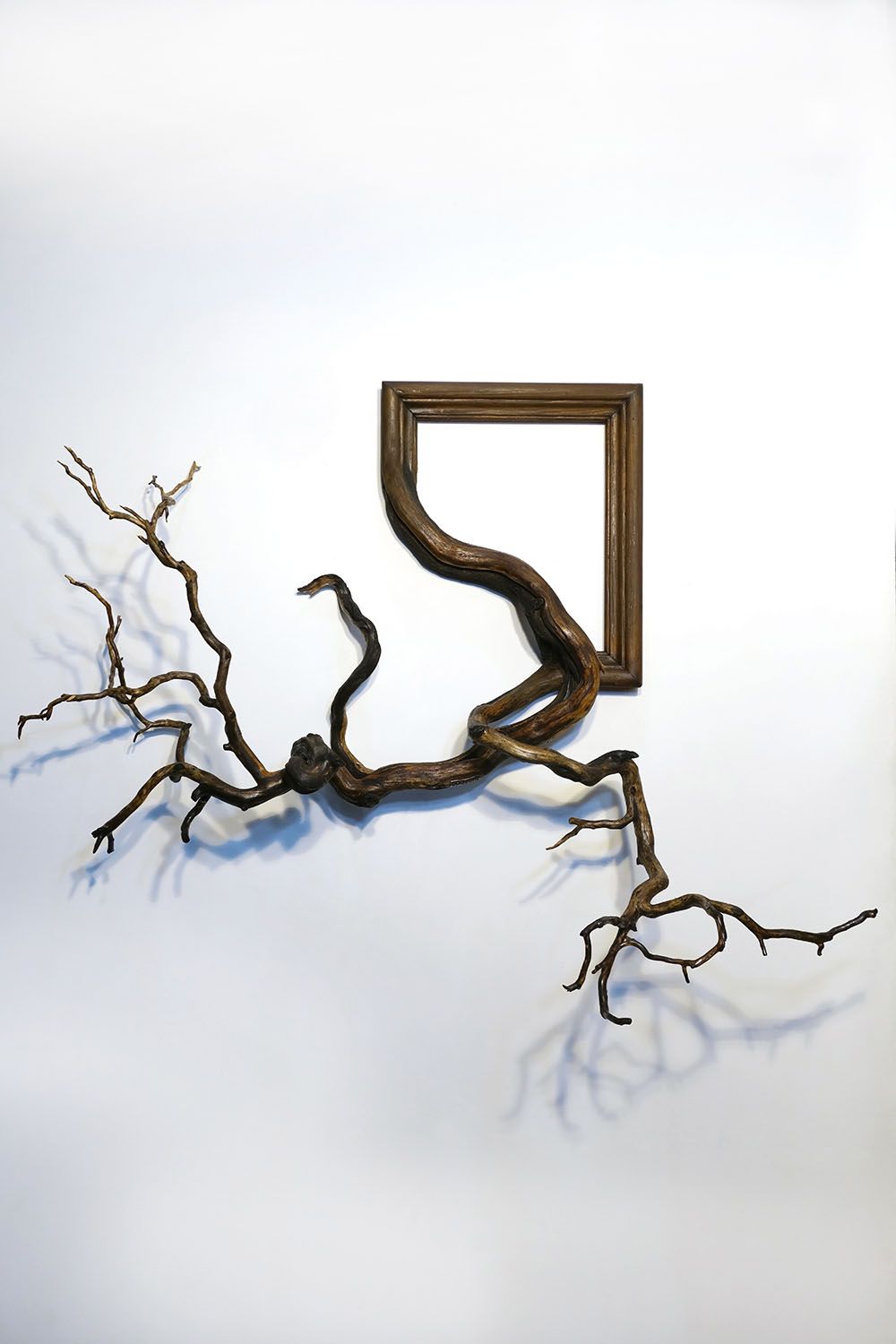 Tree Roots And Branches Fused With Ornate Picture Frames By Darryl Cox 15