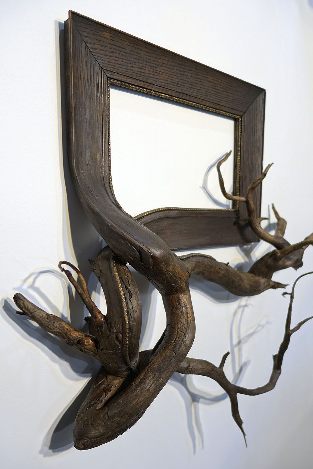 Tree Roots And Branches Fused With Ornate Picture Frames By Darryl Cox 16