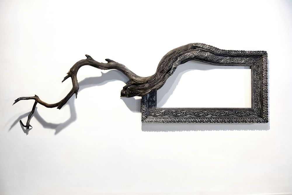 Tree Roots And Branches Fused With Ornate Picture Frames By Darryl Cox 2