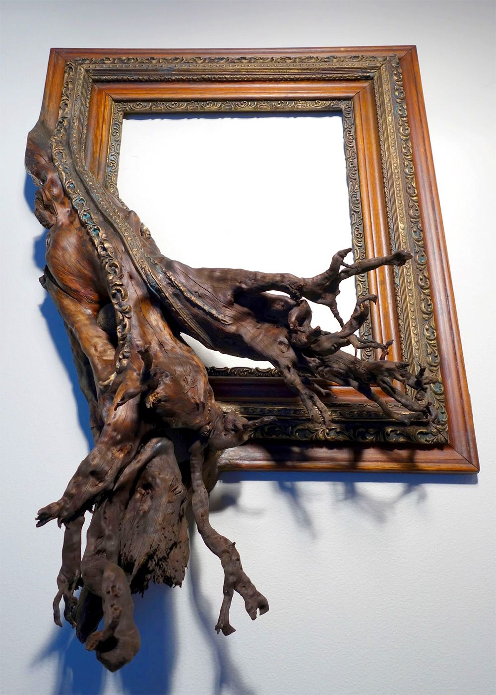 Tree Roots And Branches Fused With Ornate Picture Frames By Darryl Cox 3