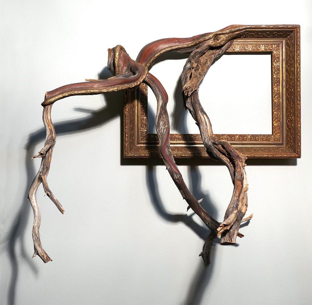 Tree Roots And Branches Fused With Ornate Picture Frames By Darryl Cox 4