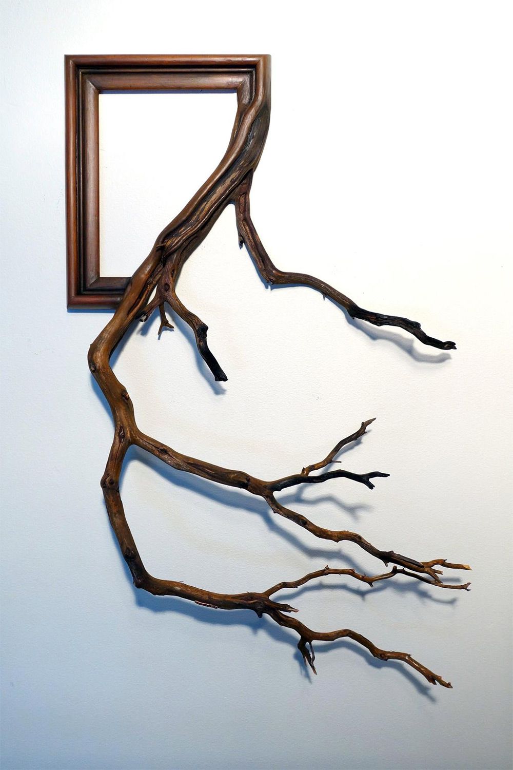 Tree Roots And Branches Fused With Ornate Picture Frames By Darryl Cox 5