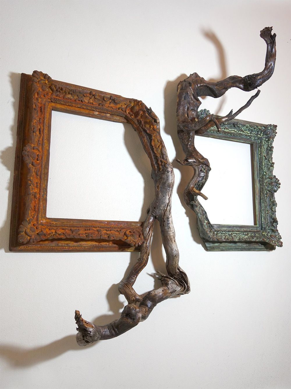 Tree Roots And Branches Fused With Ornate Picture Frames By Darryl Cox 6