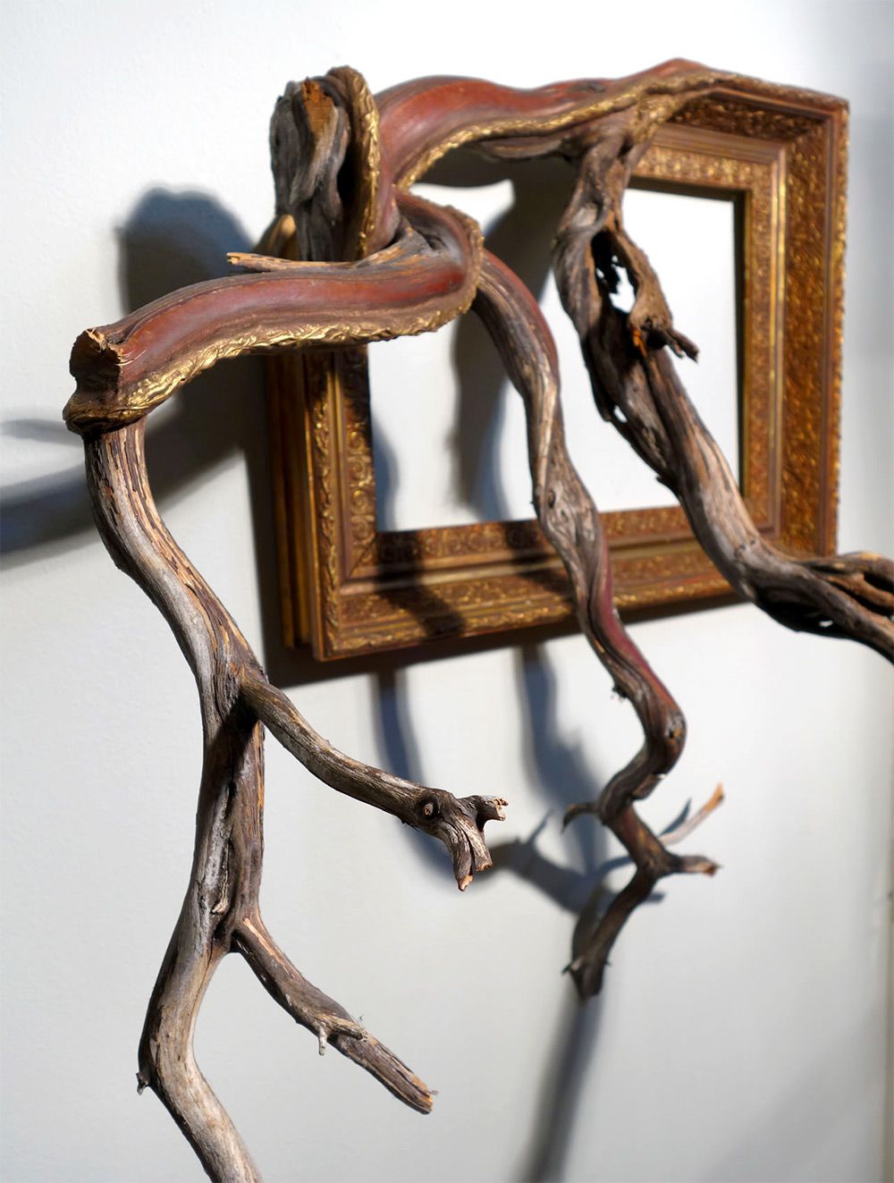 Tree Roots And Branches Fused With Ornate Picture Frames By Darryl Cox 8