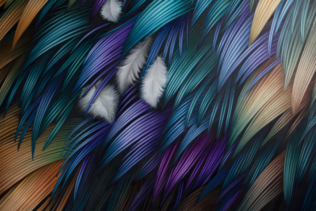 Vibrant Murals Of Colored Feathers By Adele Renault 10