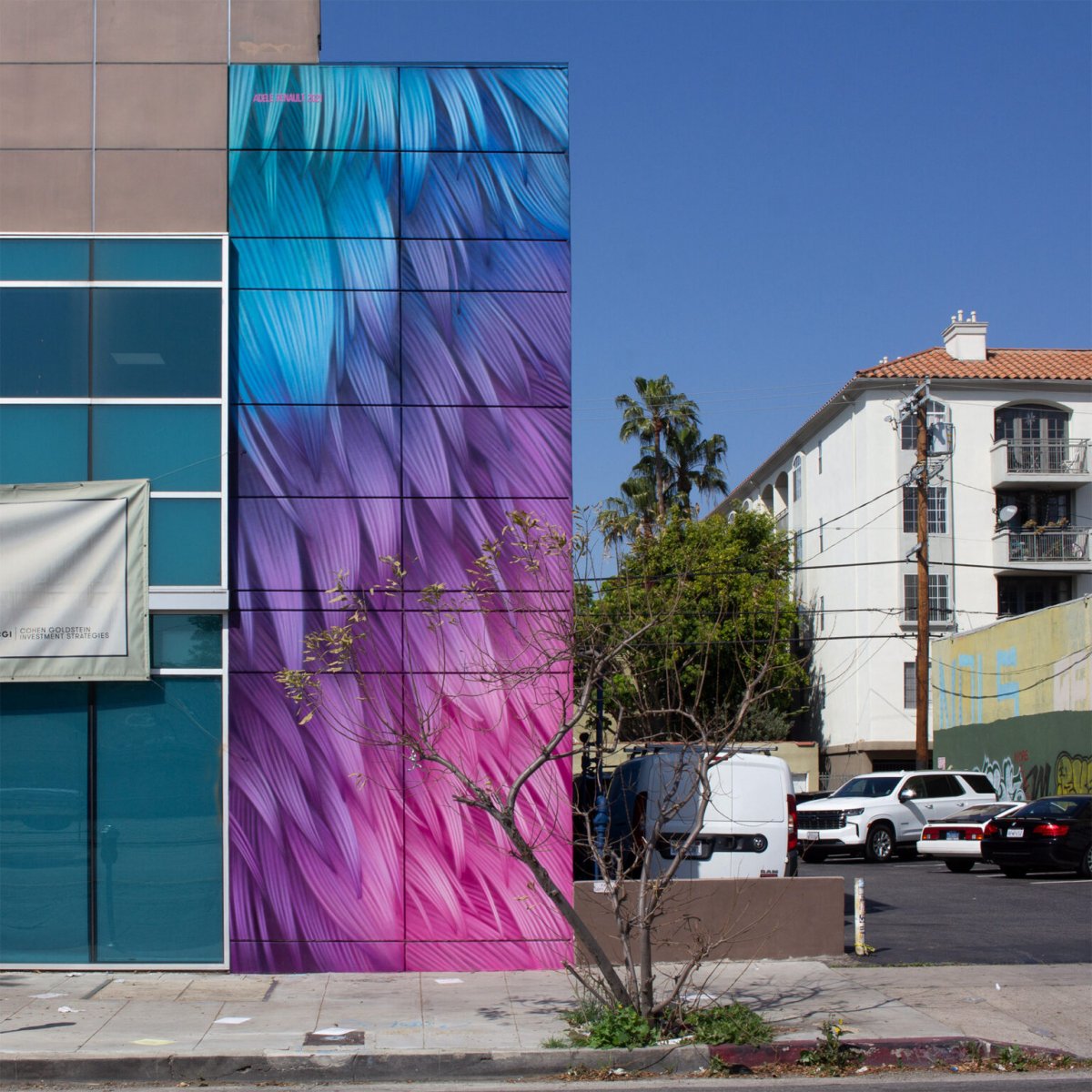 Vibrant Murals Of Colored Feathers By Adele Renault 11