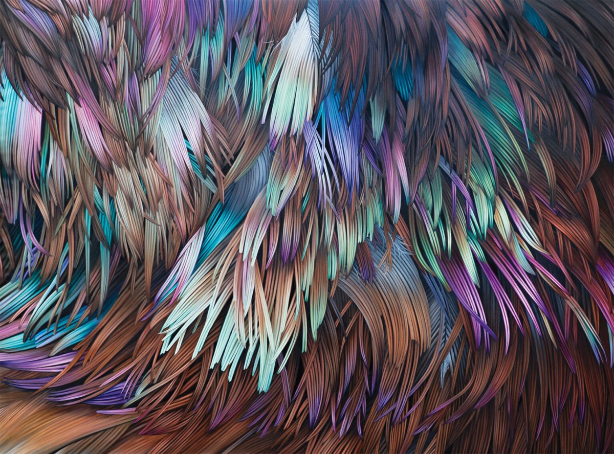 Vibrant Murals Of Colored Feathers By Adele Renault 6