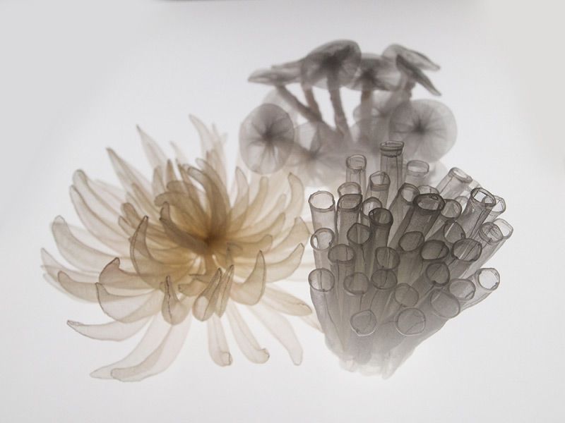 Absolutely Stunning Translucent Textile Sculptures In The Shape Of Organisms And Common Objects By Mariko Kusumoto 16