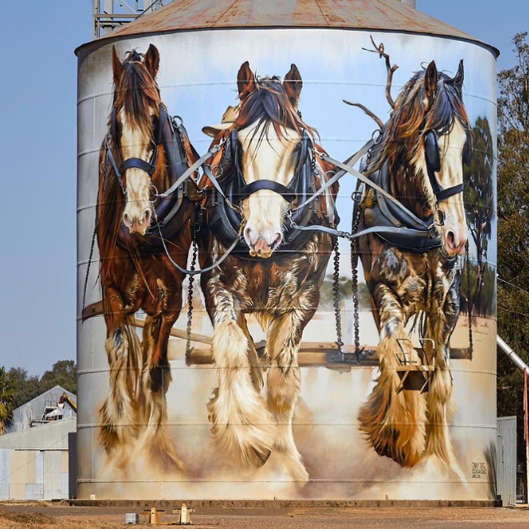 Animal Photo Realistic Murals By Dvate 2