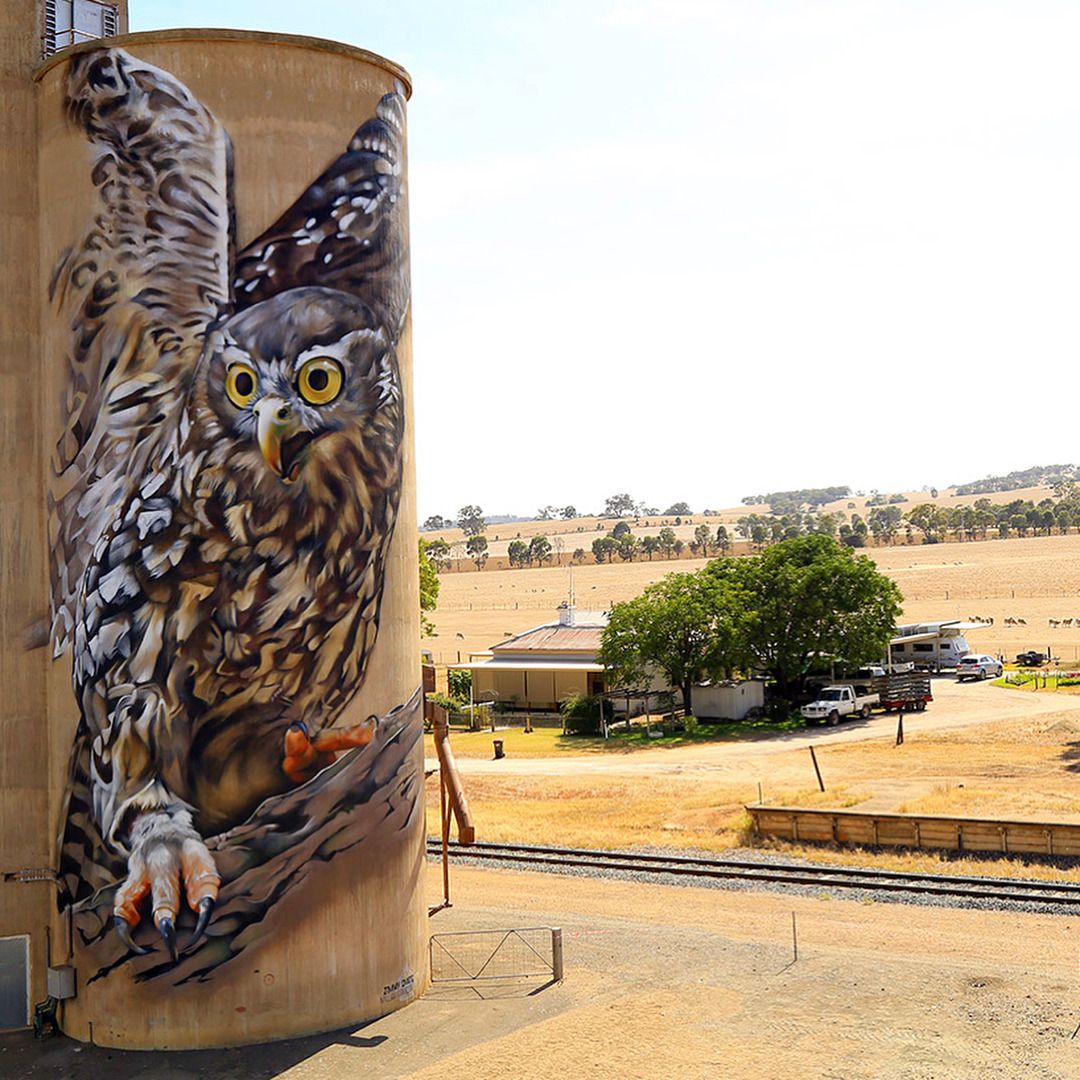 Animal Photo Realistic Murals By Dvate 7