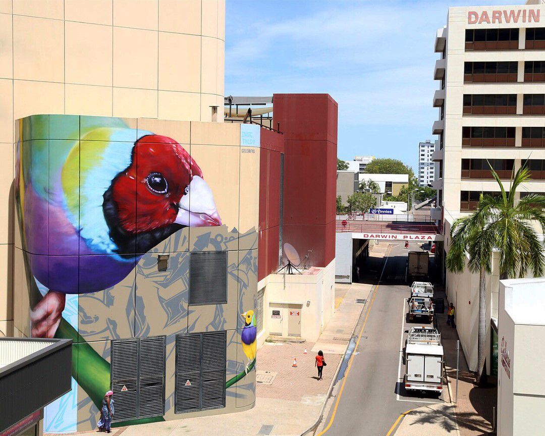Animal Photo Realistic Murals By Dvate 8
