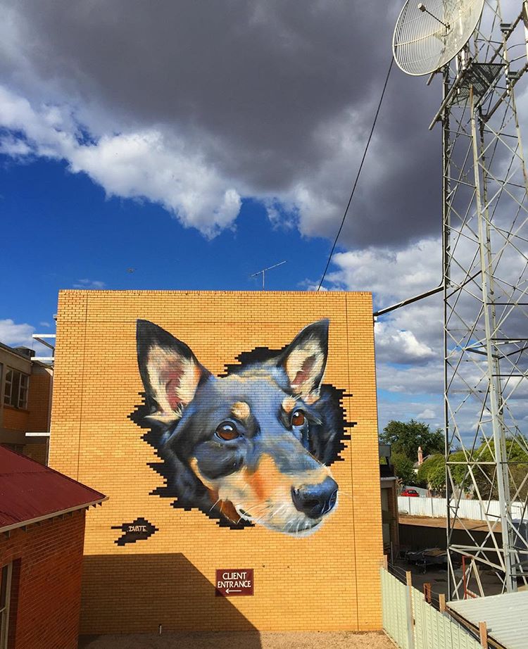 Animal Photo Realistic Murals By Dvate 9