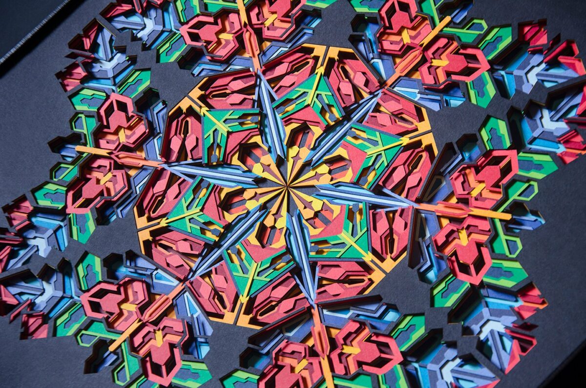 Crystal Bloom Stunning Paper Cuttings By Zubin Jhaveri Macaw Closeup