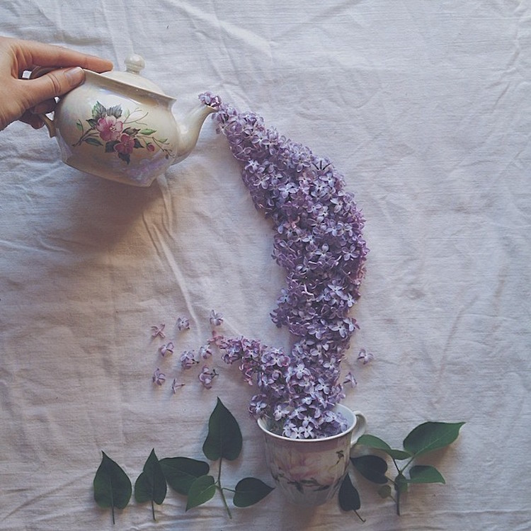 Enchanting Still Life Photographs Made Using Teacups Leaves And Flowers By Marina Malinovaya 8