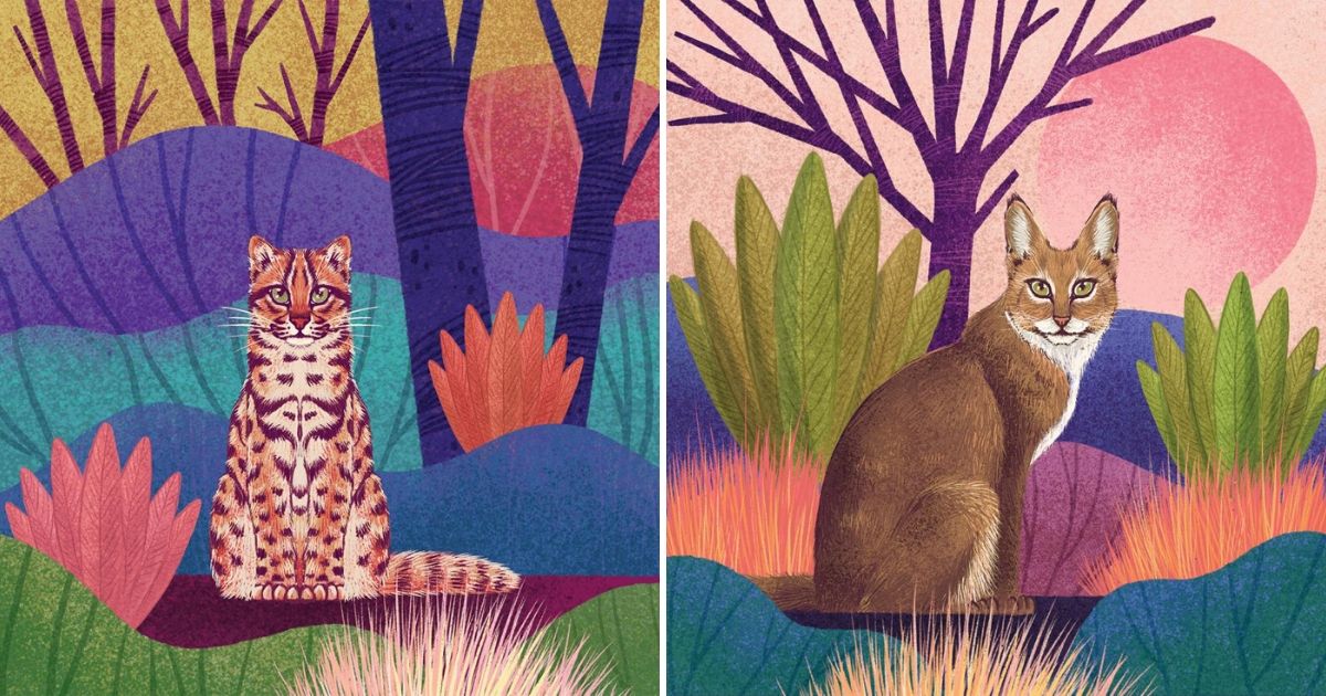 Fantastic Felines A Fascinating Animal Illustration Series By Rohan Dahotre Sharecover