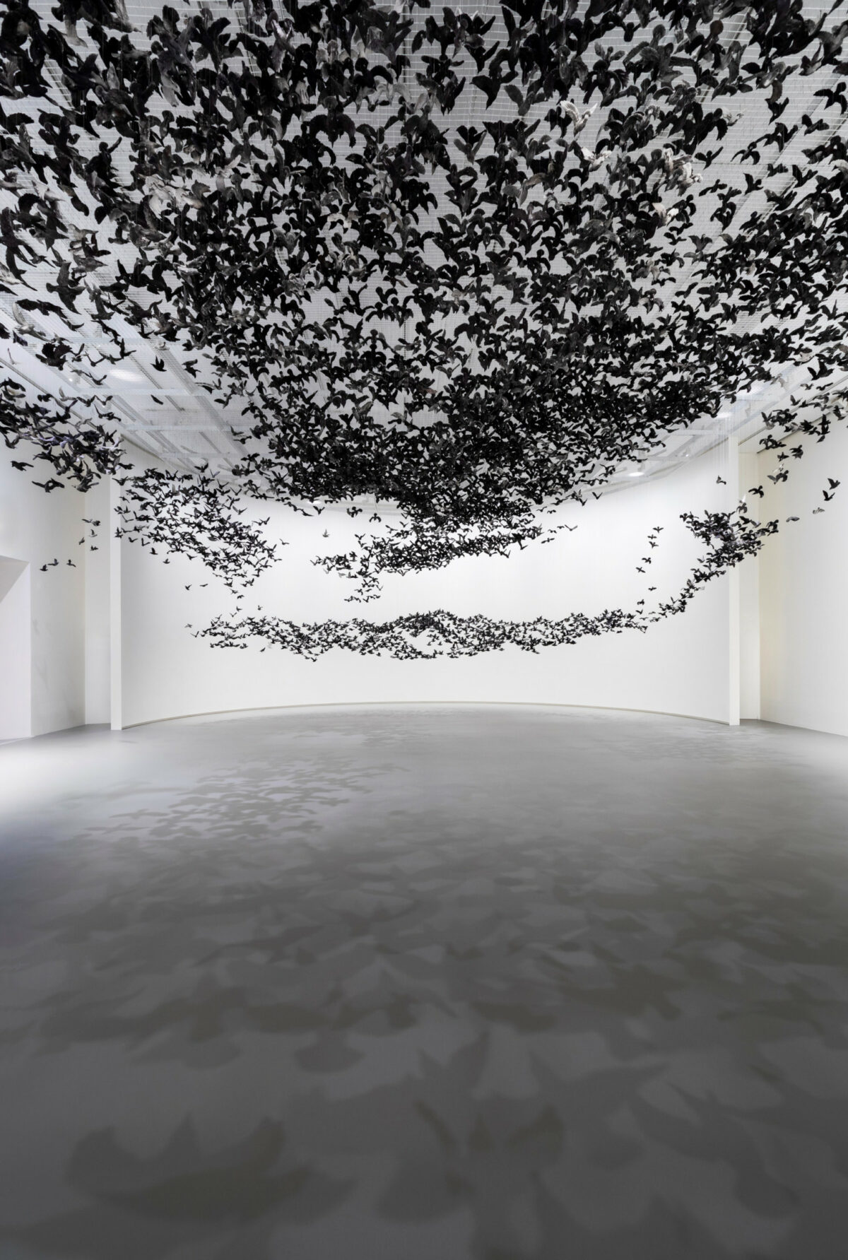 Murmuration An Installation Made Of Thousands Of Black Birds By Cai Guo Qiang 1 1