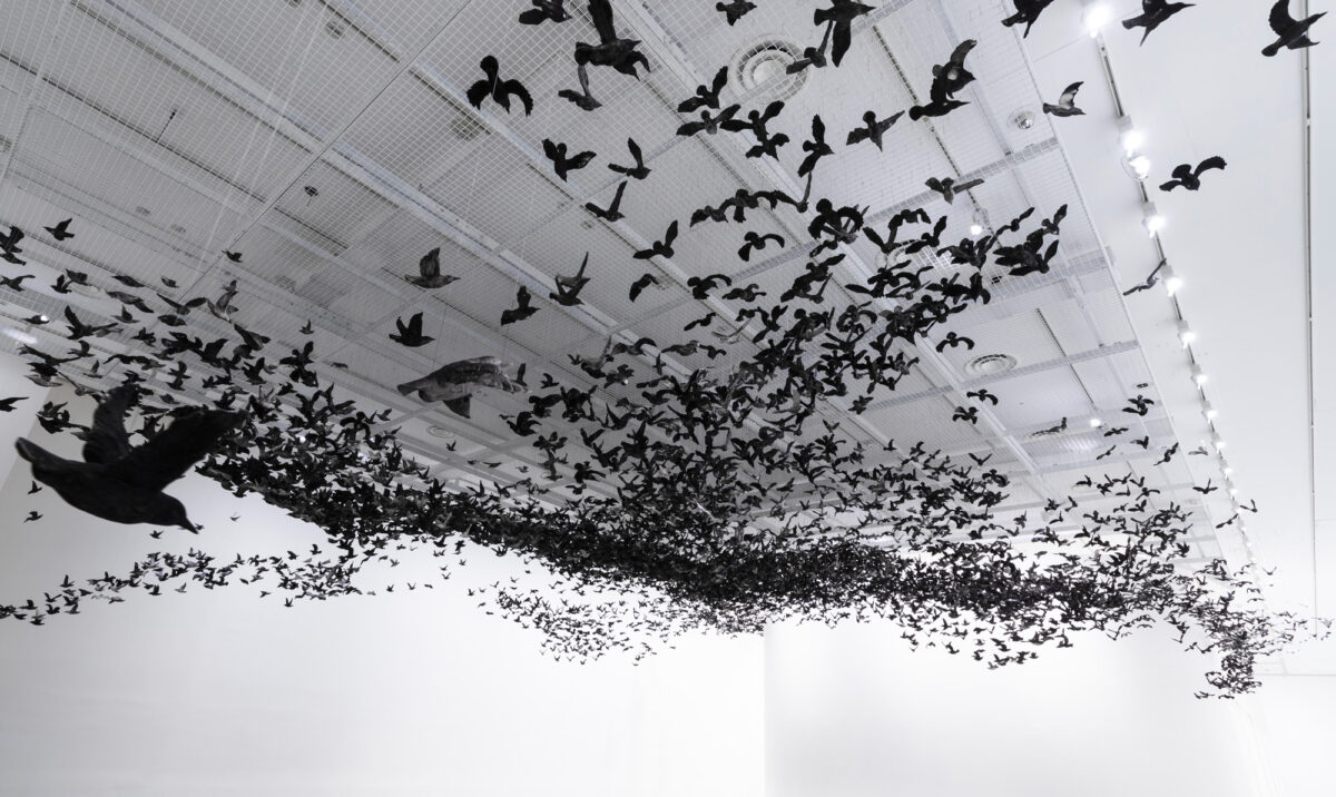 Murmuration An Installation Made Of Thousands Of Black Birds By Cai Guo Qiang 1 4
