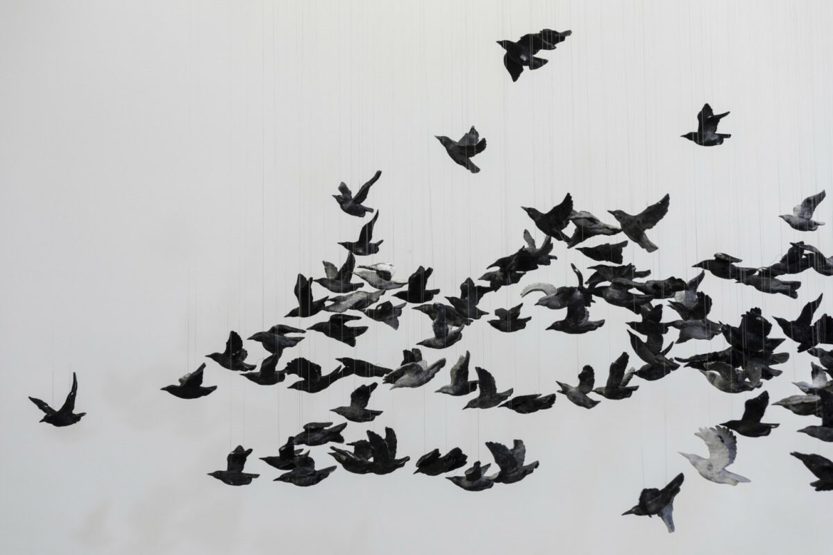 Murmuration An Installation Made Of Thousands Of Black Birds By Cai Guo Qiang 1 7