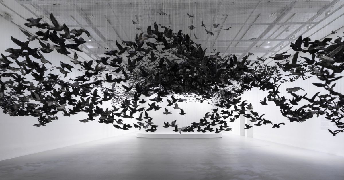 Murmuration An Installation Made Of Thousands Of Black Birds By Cai Guo Qiang Sharecover