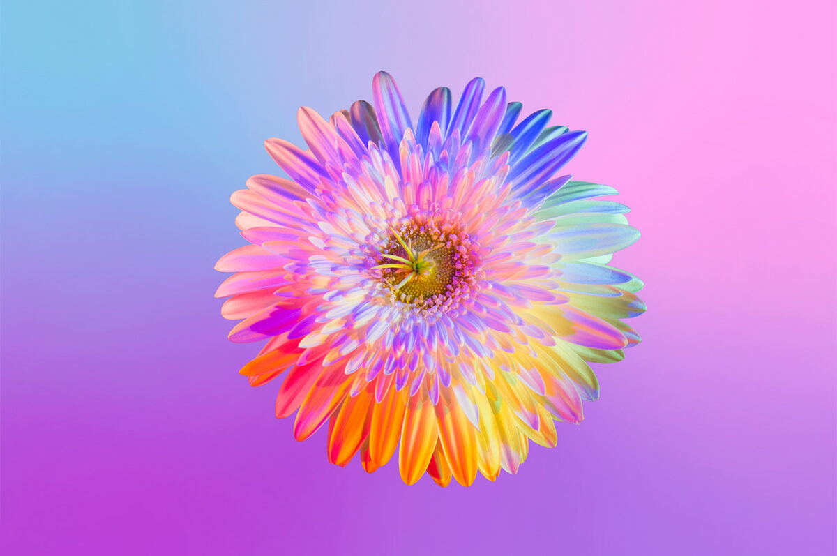 Neon Flowers Series By Claire Boscher 02